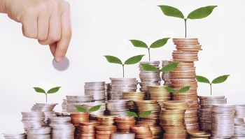 Lịch chốt quyền cổ tức bằng tiền tuần từ 18-22/8: Công ty hot đồng loạt lăn chốt, tỷ lệ cao nhất 60%