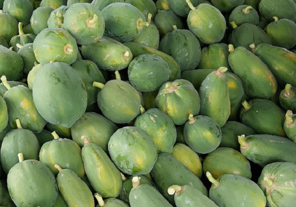 Loại quả giá rẻ nhưng giàu dinh dưỡng, lá còn được ví như 'nhân sâm của người nghèo'