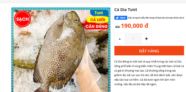Loài cá tên lạ được ví như 'thuốc bổ từ biển cả', giá vừa túi tiền, dân sành ăn mê mẩn