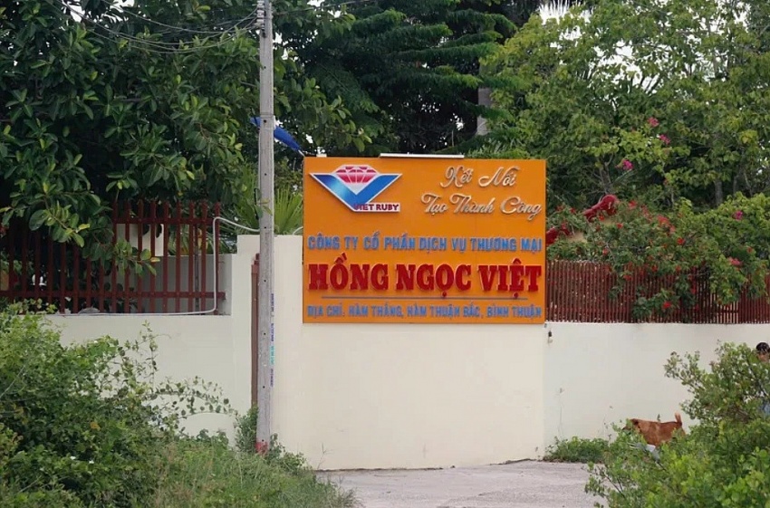 Khám xét 130 doanh nghiệp, hàng loạt Chủ tịch và Tổng Giám đốc bị khởi tố, bắt tạm giam