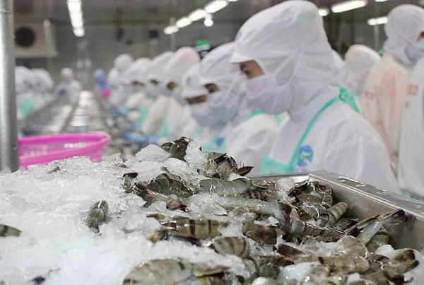 Việt Nam trúng đậm với 'mỏ vàng dưới nước', Trung Quốc - Nhật Bản cực mê: Thu về 2,5 tỷ USD kể từ đầu năm