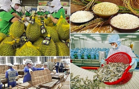 Nông sản Việt thu gần 40 tỷ USD từ xuất khẩu trong 7 tháng