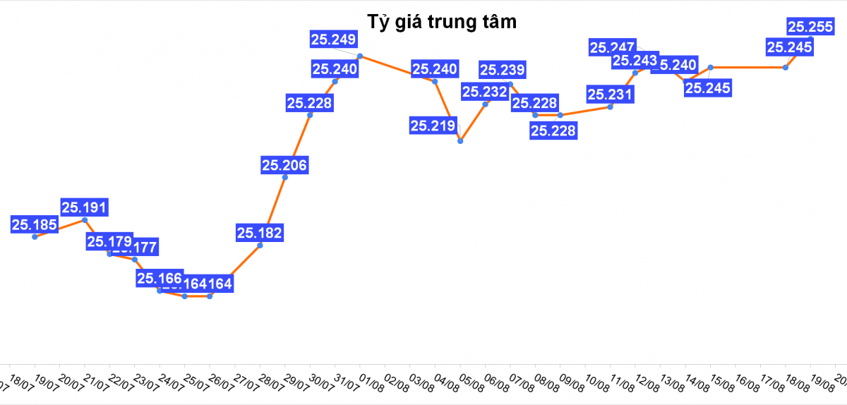 Tỷ giá hôm nay 19/8: USD và Nhân dân tệ cùng tăng, ngân hàng điều chỉnh