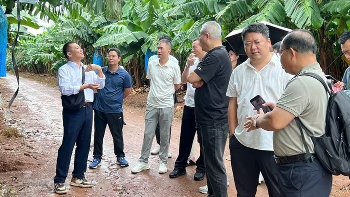 Gia Lai bắt tay một tỉnh Trung Quốc để 'mở đại lộ' đưa nông sản Việt sang thị trường tỷ dân