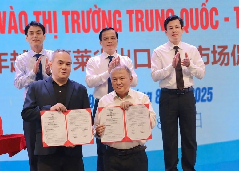 Gia Lai bắt tay một khu tự trị Trung Quốc để 'mở đại lộ' đưa nông sản Việt sang thị trường tỷ dân