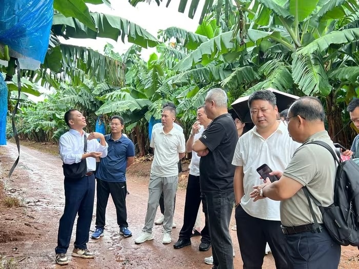 Gia Lai bắt tay một khu tự trị Trung Quốc để 'mở đại lộ' đưa nông sản Việt sang thị trường tỷ dân