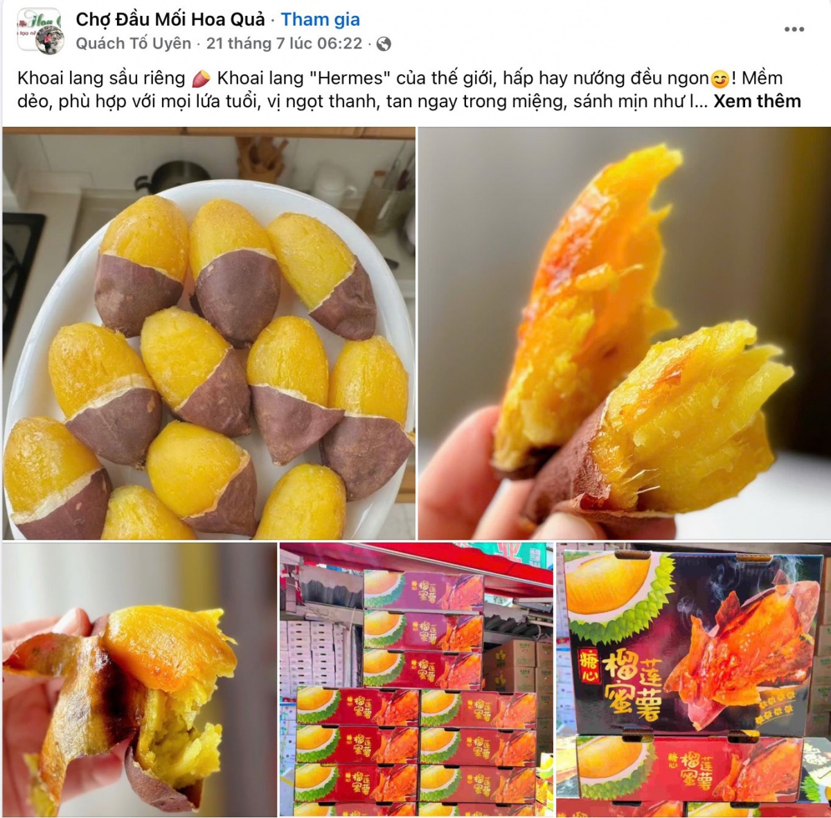 Loại khoai lang sầu riêng từ Trung Quốc đang ‘làm mưa làm gió’ tại thị trường Việt Nam