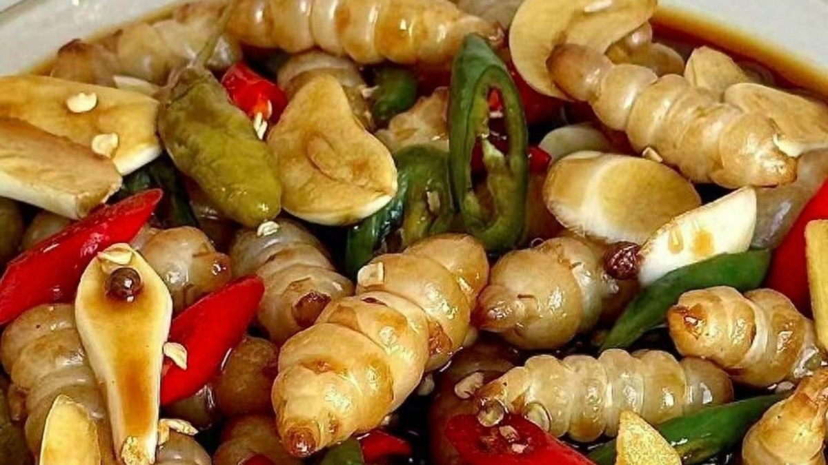 Loại rau dại khiến nhiều người ‘khiếp vía’ vì hình dạng như con sâu, không ngờ lại tốt như nhân sâm, đem đi bán thành hốt bạc