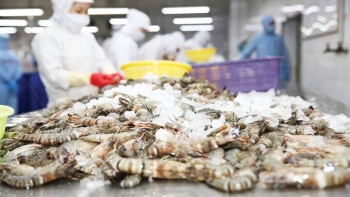 Mỹ ra thông báo thu hồi khẩn cấp mặt hàng tôm đông lạnh nhập khẩu do lo sợ nguy cơ nhiễm phóng xạ