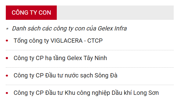 Gelex Infra – Trụ cột thứ hai của Tập đoàn Gelex chuẩn bị IPO?