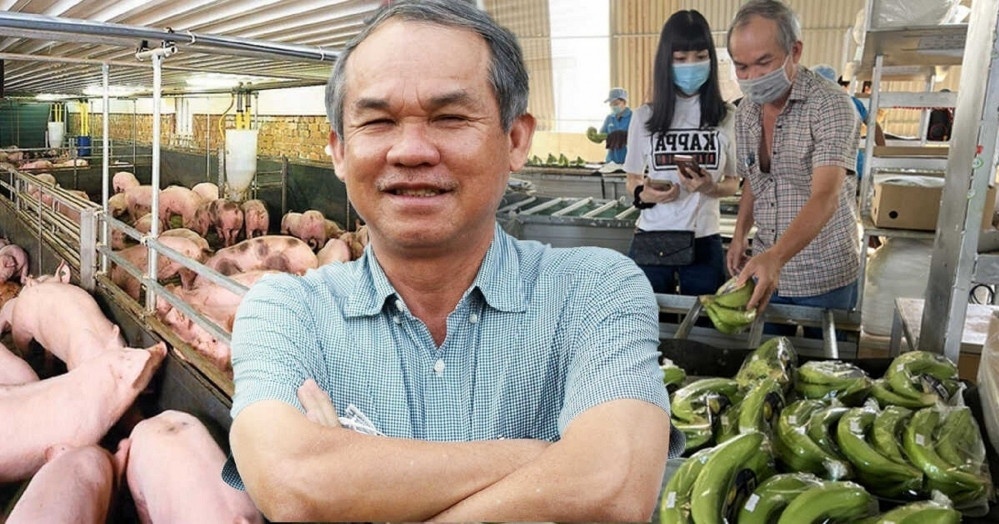 'Chân ái' heo ăn chuối của bầu Đức lỗ đậm