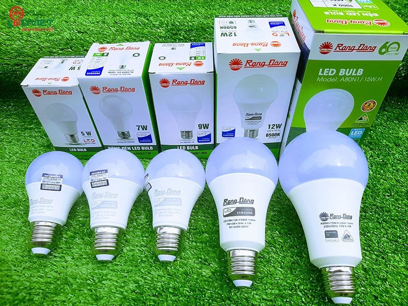 Đối mặt với nhiều nguy cơ đe dọa đến sự tồn tại, Bóng đèn Rạng Đông (RAL) vẫn chi tạm ứng cổ tức tỷ lệ 25%