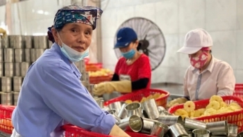 Cuối năm, lao động Việt U60 cũng được săn đón, đâu là những ngành 'mở rộng cửa'?