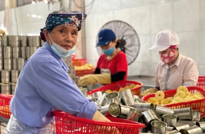 Cuối năm, lao động Việt U60 cũng được săn đón, đâu là những ngành 'mở rộng cửa'?