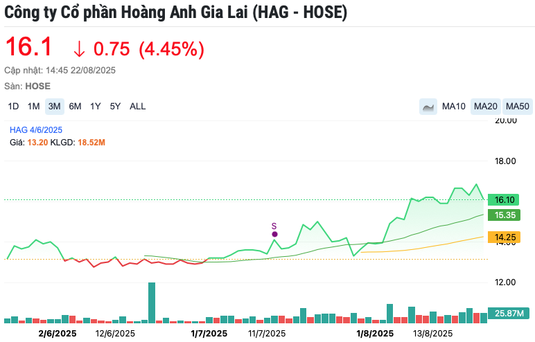 Bầu Đức sang tay 25 triệu cổ phiếu HAG, giá trị gần 400 tỷ