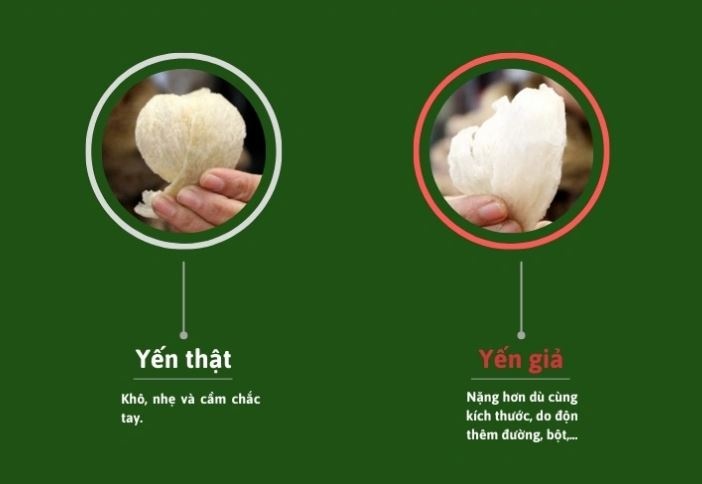 Chưa nắm rõ 5 cách phân biệt yến giả dễ dàng bằng mắt thường này thì đừng vội đặt mua yến