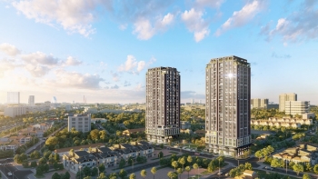 Tập đoàn Alphanam muốn làm 5 dự án quy mô hàng nghìn héc ta tại Cần Thơ