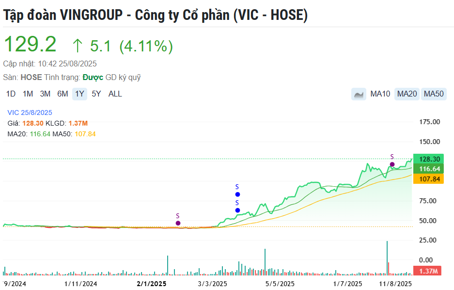 Cổ phiếu Vingroup (VIC) phá đỉnh lịch sử, dòng tiền nào đứng sau đà tăng hơn 200%?
