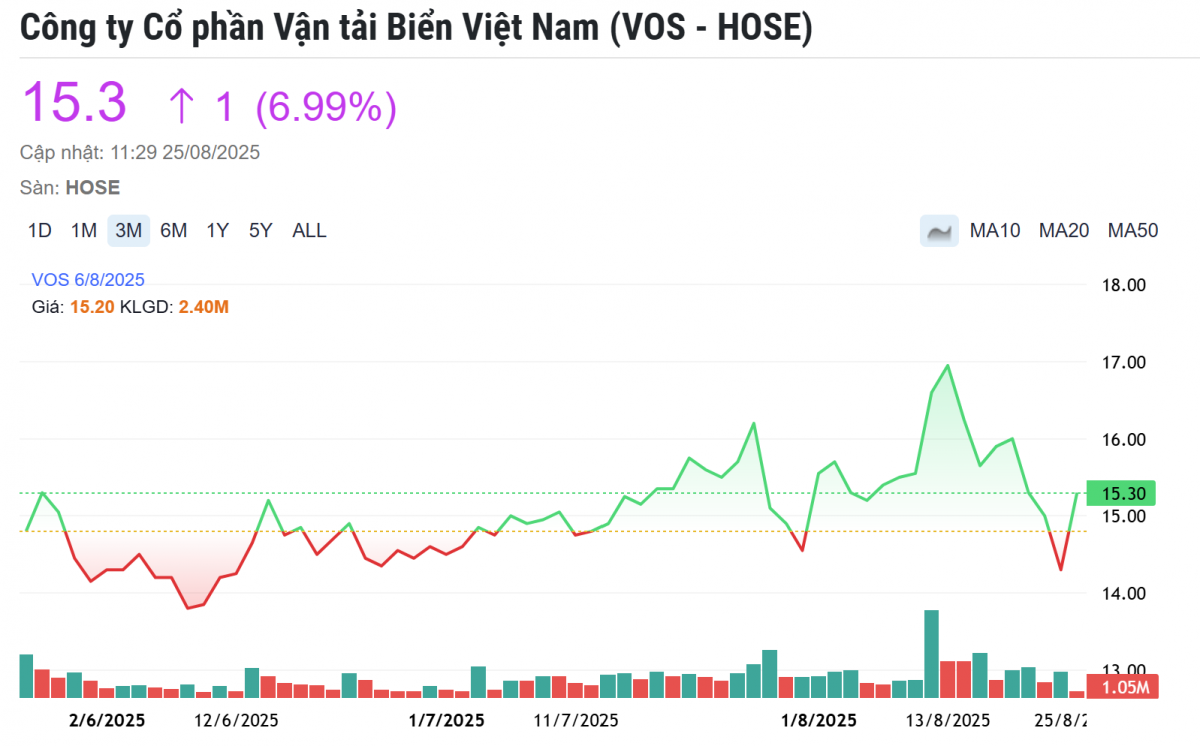 Bị cắt margin do thua lỗ, cổ phiếu của doanh nghiệp trên HoSE vẫn ngược dòng tăng trần