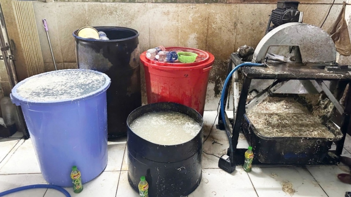 Hoa chuối trắng phau nhờ 'tắm' hoá chất trước khi tuồn ra thị trường