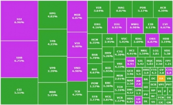 Thị trường đồng thuận đi lên, VN-Index tăng 54 điểm, ngân hàng là 'ngòi nổ'