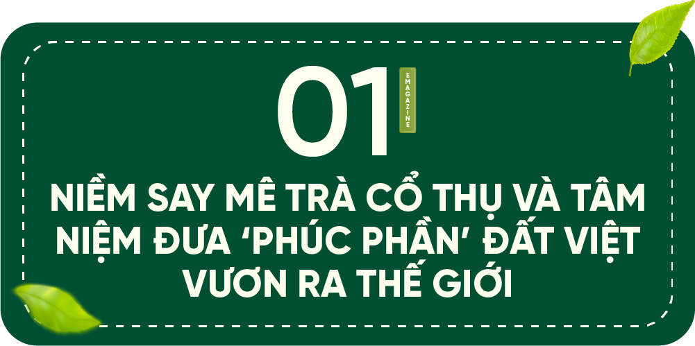 Người ngoại quốc giữa núi rừng Hà Giang và hành trình nghiên cứu đưa trà shan cổ thụ Việt xứng tầm thế giới