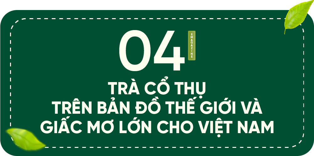 Người ngoại quốc giữa núi rừng Hà Giang và hành trình nghiên cứu đưa trà shan cổ thụ Việt xứng tầm thế giới