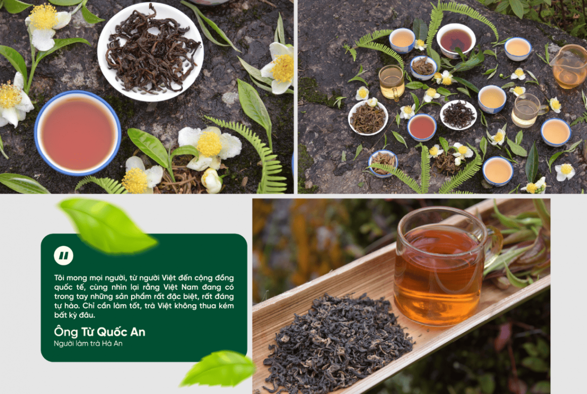 Người ngoại quốc giữa núi rừng Hà Giang và hành trình nghiên cứu đưa trà shan cổ thụ Việt xứng tầm thế giới