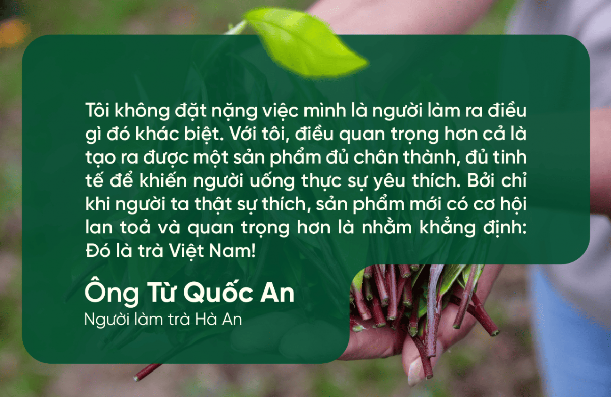 Người ngoại quốc giữa núi rừng Hà Giang và hành trình nghiên cứu đưa trà shan cổ thụ Việt xứng tầm thế giới