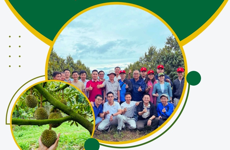 Hơn 9% vốn HAGL vừa được sang tay, thế hệ F2 bước lên thương trường