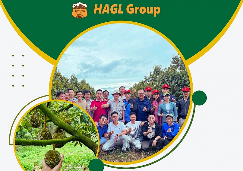 Hơn 9% vốn HAGL vừa được sang tay, thế hệ F2 bước lên thương trường
