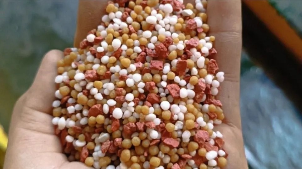 Sản phẩm Việt Nam có nhu cầu hơn 10 triệu tấn/năm, Trung - Nga - Lào cùng 'bơm' hàng ồ ạt