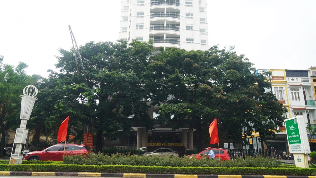 ‘Bầu Đoan’ vừa bị khám xét tư gia: Đại gia bất động sản xứ Thanh, sở hữu bạch dinh rộng 50.000m2