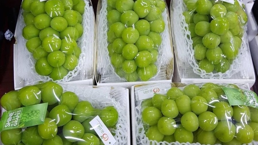 Loại trái cây 'quý tộc' tràn ngập siêu thị đổ đống và chợ online, giá rẻ không tưởng vì đâu?