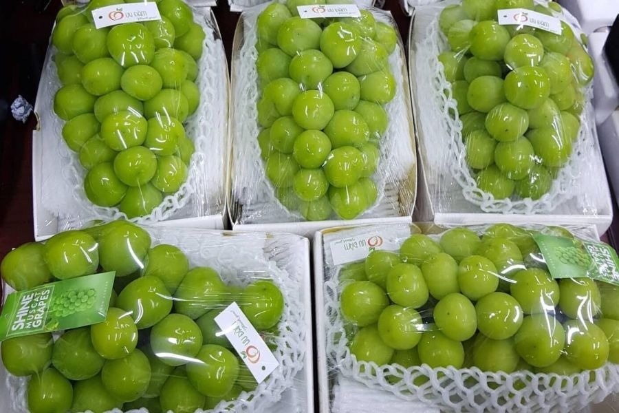 Loại trái cây 'quý tộc' tràn ngập siêu thị đổ đống và chợ online, giá rẻ không tưởng vì đâu?