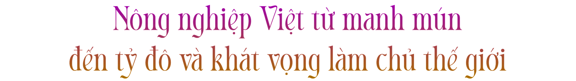 tit-1-web.png