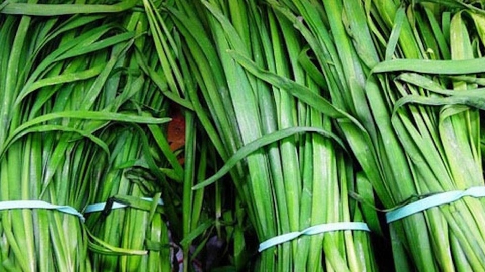 Loại lá tốt cho phái mạnh được bán bạt ngàn ngoài chợ giá chỉ 20.000 đồng/1kg, được đánh cao hơn hàu