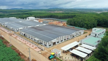 Quảng Ngãi có thêm nhà máy chế biến nông sản chuẩn quốc tế 500 tỷ đồng