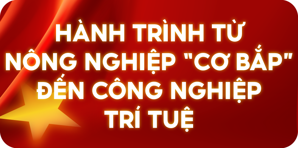 Việt Nam sau 80 năm Độc lập: Từ khát vọng 2/9 đến bản lĩnh kinh tế toàn cầu