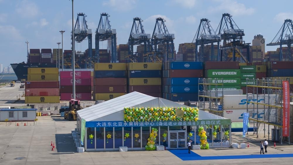Trung Quốc mở ‘đường cao tốc’ cho sầu riêng Đông Nam Á, 10.000 container hàng cập bến chỉ sau 6 ngày