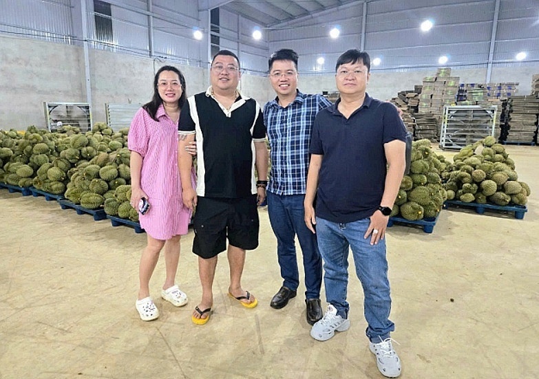 Buôn sầu riêng như HAGL, nhưng cổ phiếu một doanh nghiệp khác chỉ bằng nửa giá sổ sách