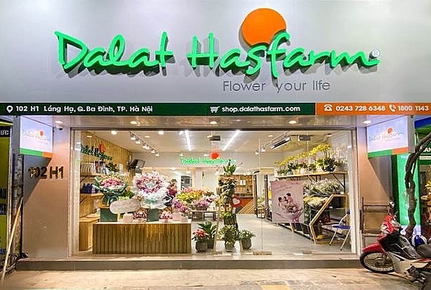Dalat Hasfarm thâu tóm Tập đoàn Lynch với giá 4.500 tỷ, trở thành một trong những công ty hoa lớn nhất thế giới