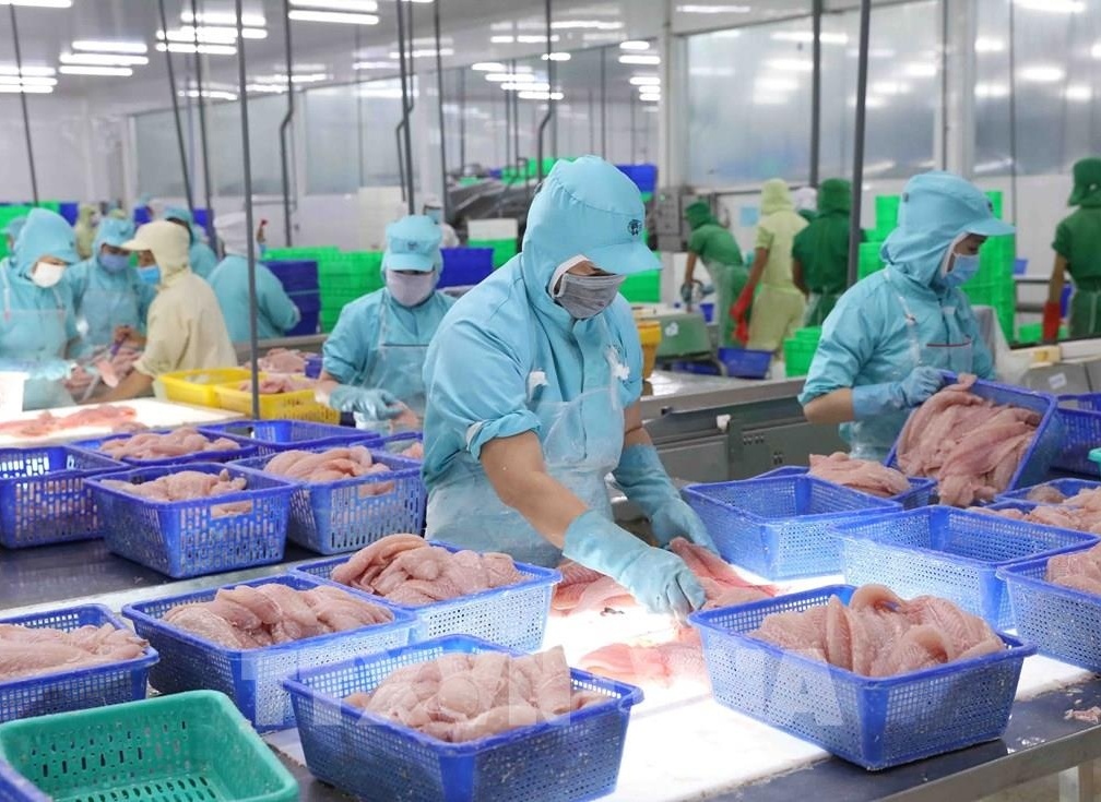 Không phải Mỹ hay Trung Quốc, đâu mới là điểm sáng bứt phá gần 40% của xuất khẩu nông sản Việt?