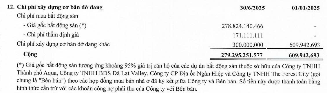 Novaland trả nợ bằng BĐS cho đại gia buôn thép đang chìm trong thua lỗ, Chủ tịch phải thế chấp cả nhà riêng