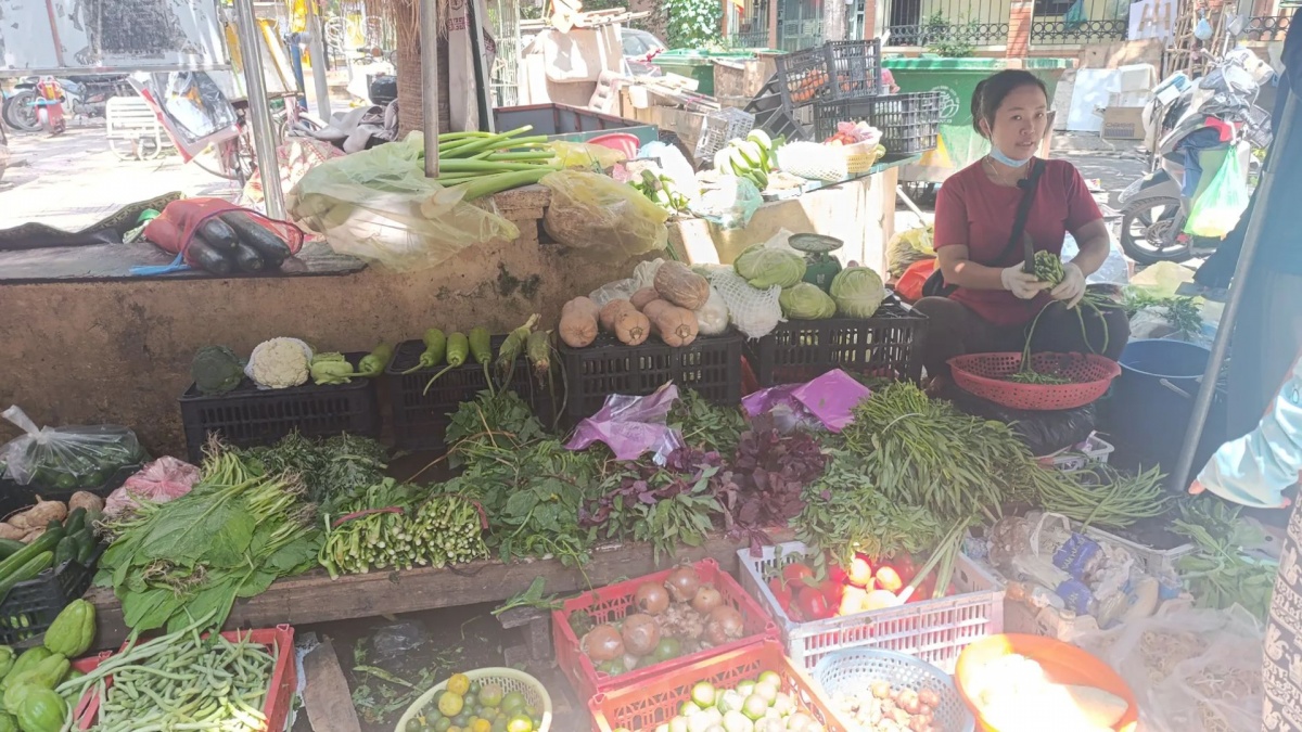 Choáng với giá rau xanh tại Hà Nội: Một mớ rau có giá lên tới 35.000 đồng