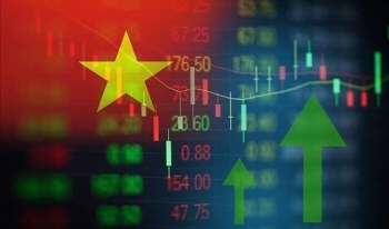 VN-Index giảm gần 30 điểm, thị trường hoảng loạn?