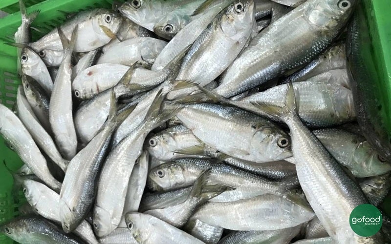 3 loại cá rẻ tiền bán khắp chợ Việt, được Mỹ ca ngợi bổ không kém cá hồi, lại cực sạch thủy ngân