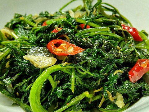 Từng mọc hoang chẳng ai để ý, loại rau tên cực lạ nay vào nhà hàng thành đặc sản, khách muốn ăn phải đặt trước