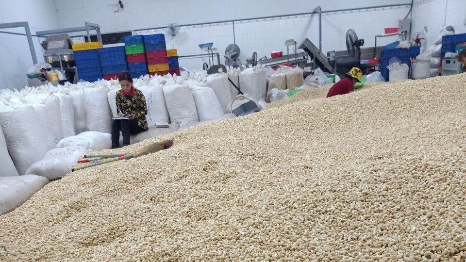 Động lực khiến Trung Quốc tăng thu mua loại hạt mà Việt Nam giữ ngôi vương xuất khẩu suốt 15 năm, tốc độ khiến Mỹ hụt hơi