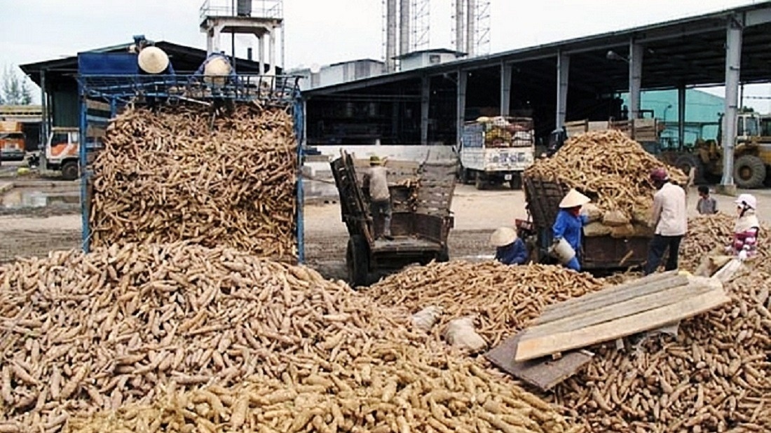 90% mặt hàng này của Việt Nam đang xuất sang Trung Quốc, doanh nghiệp tích cực làm một việc để ‘phòng xa’